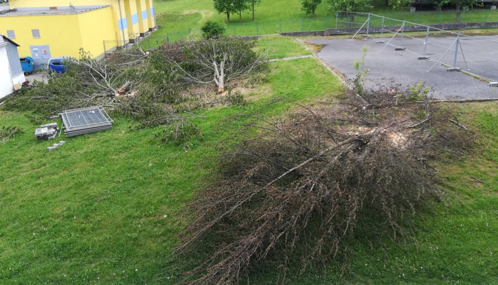 Stromy spílené v rozpore so zákonom 29.apríla 2025 pred bytovým domom 595 na Ul.SNP / zdroj: foto Pravda o Žiari